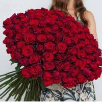 Большой букет 101 красная высокая роза R373